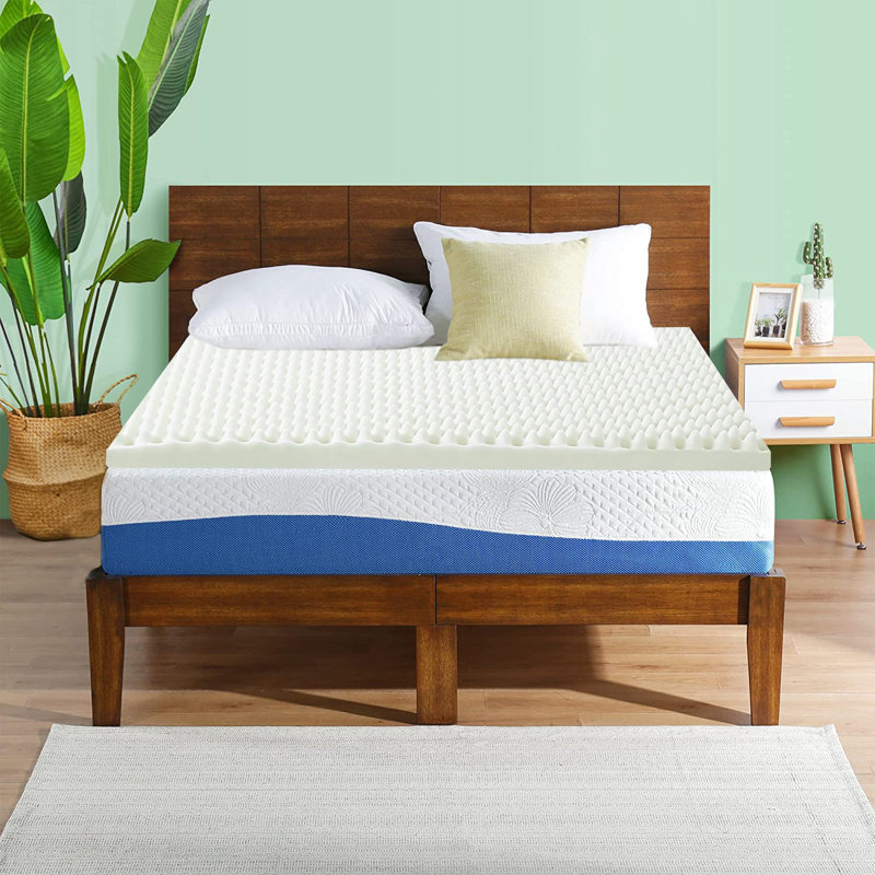 Alwyn Home Bermudez 1inch Convoluted Egg Shell Mattress Topper, Orthopedic Support Bedding Pad